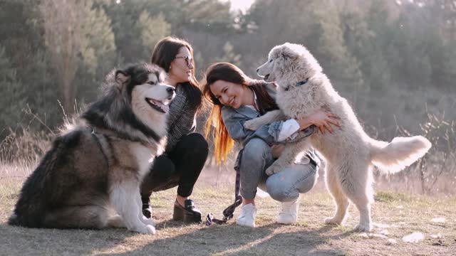 Cute Dogs with Best Friends