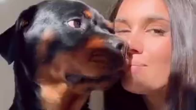 Funny dog video