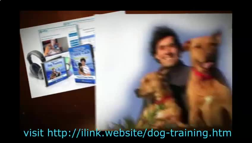 How to train your dogs easy