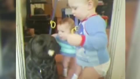 Amazing Video doggy and baby