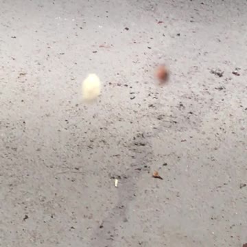 The Spider And His Web