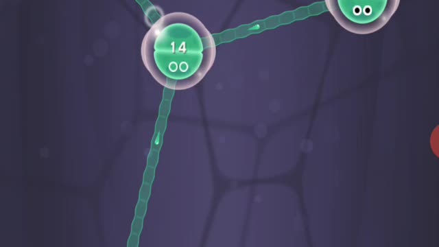 cell expansion wars