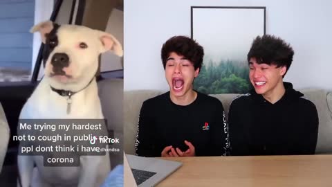 Funny Tik Tok Viral Videos