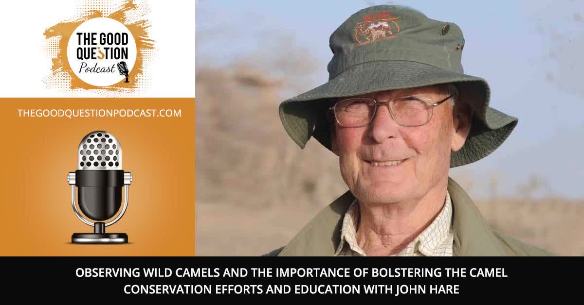 Observing Wild Camels and the Importance of Bolstering the Camel Conservation Efforts and Education