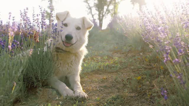 Extreme cuteness
