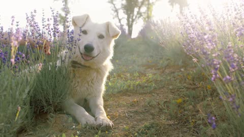 Extreme cuteness