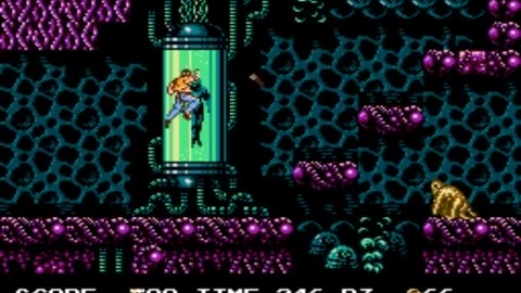 Vice_ Project Doom (NES)