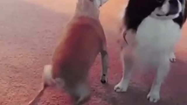 Twerk like me