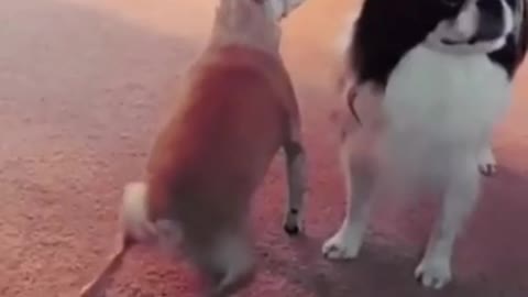 Twerk like me
