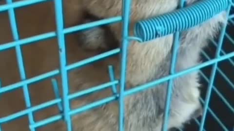 Only then will you know who is the one who walks with you and who may walk with you.