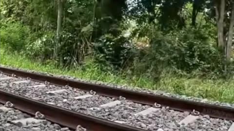 Eggs fried under the train 🚂