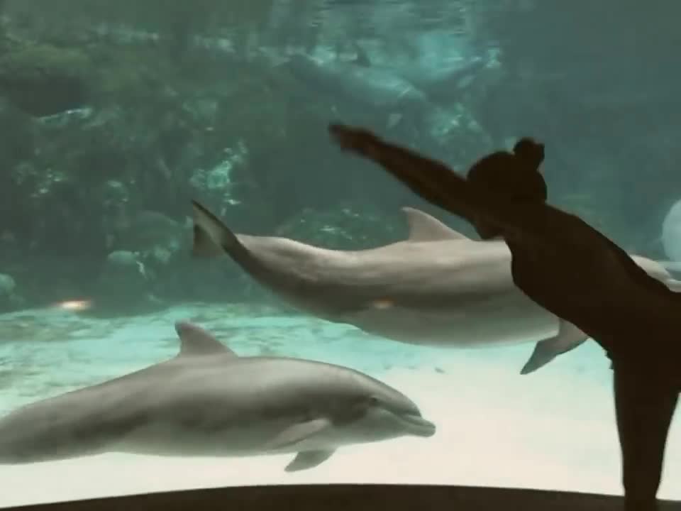 Girl Dance In Dolphin Aquarium