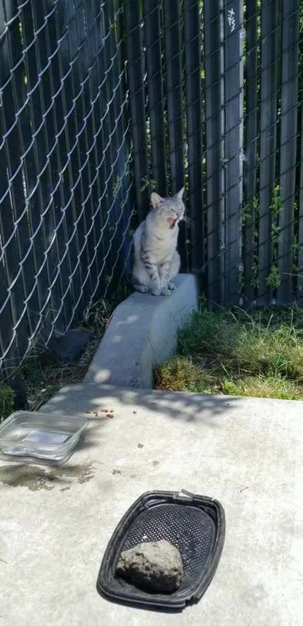 20230712 124747 Birthday Washing