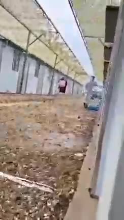 Priceless Covid Camp Call