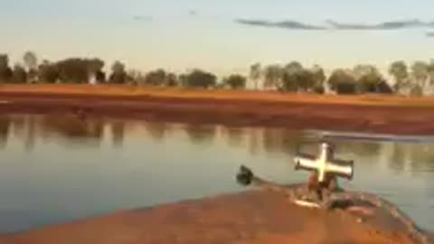 Up Close and personal with huge crocodiles in the Kimberley WA