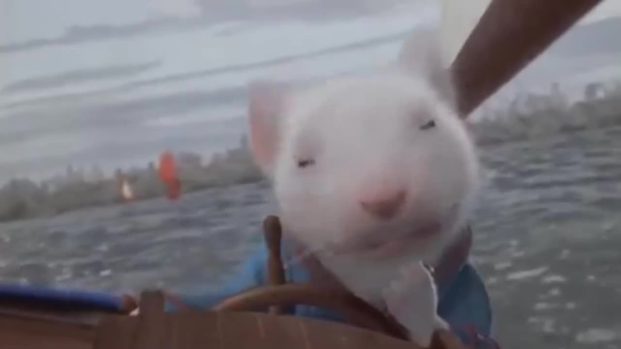 remember he's quite a fine swimmer