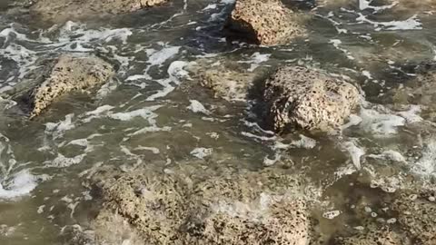 Saudi Arabia The sea in Dammam