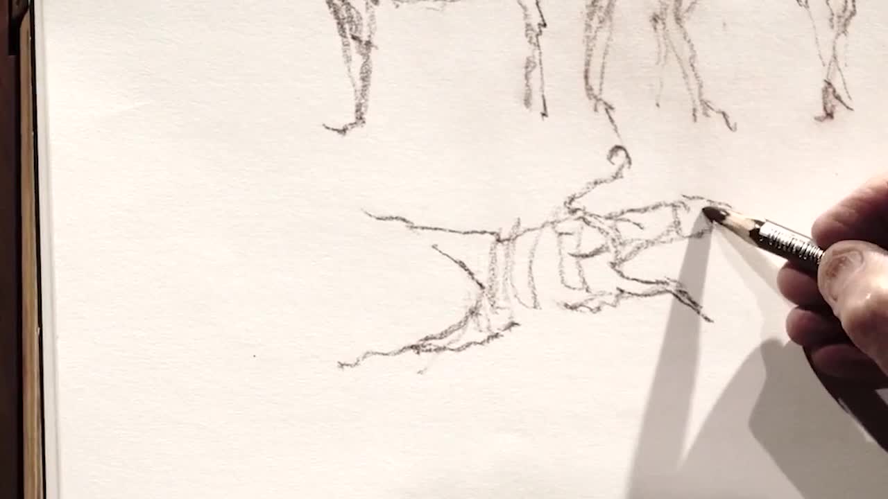 Draw The Animals On The Ground