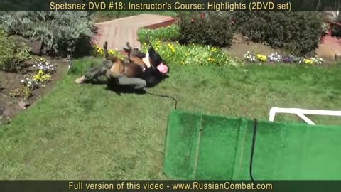 How to defend against a dog