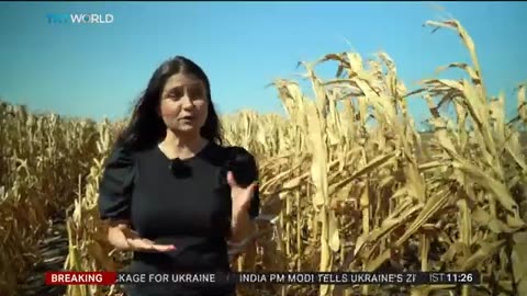 Heatwave leads to Romania's worst drought in years