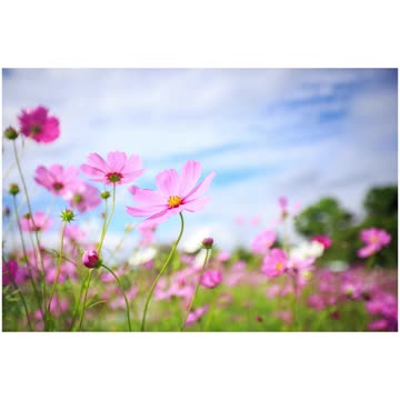 Meditation for healing