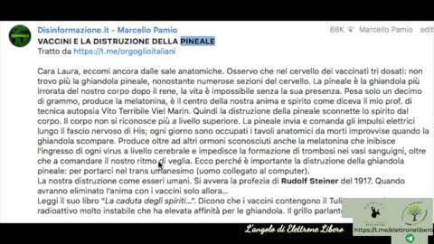 I sieri e la distruzione della pineale - Cosa ne pensa Stefano Montanari?