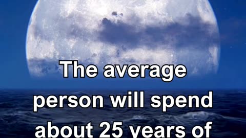 Fun Facts