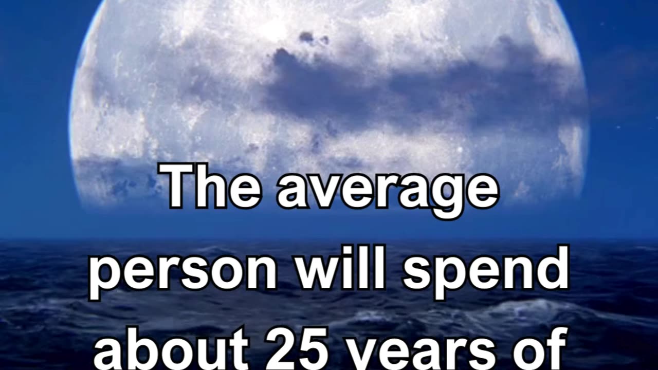 Fun Facts