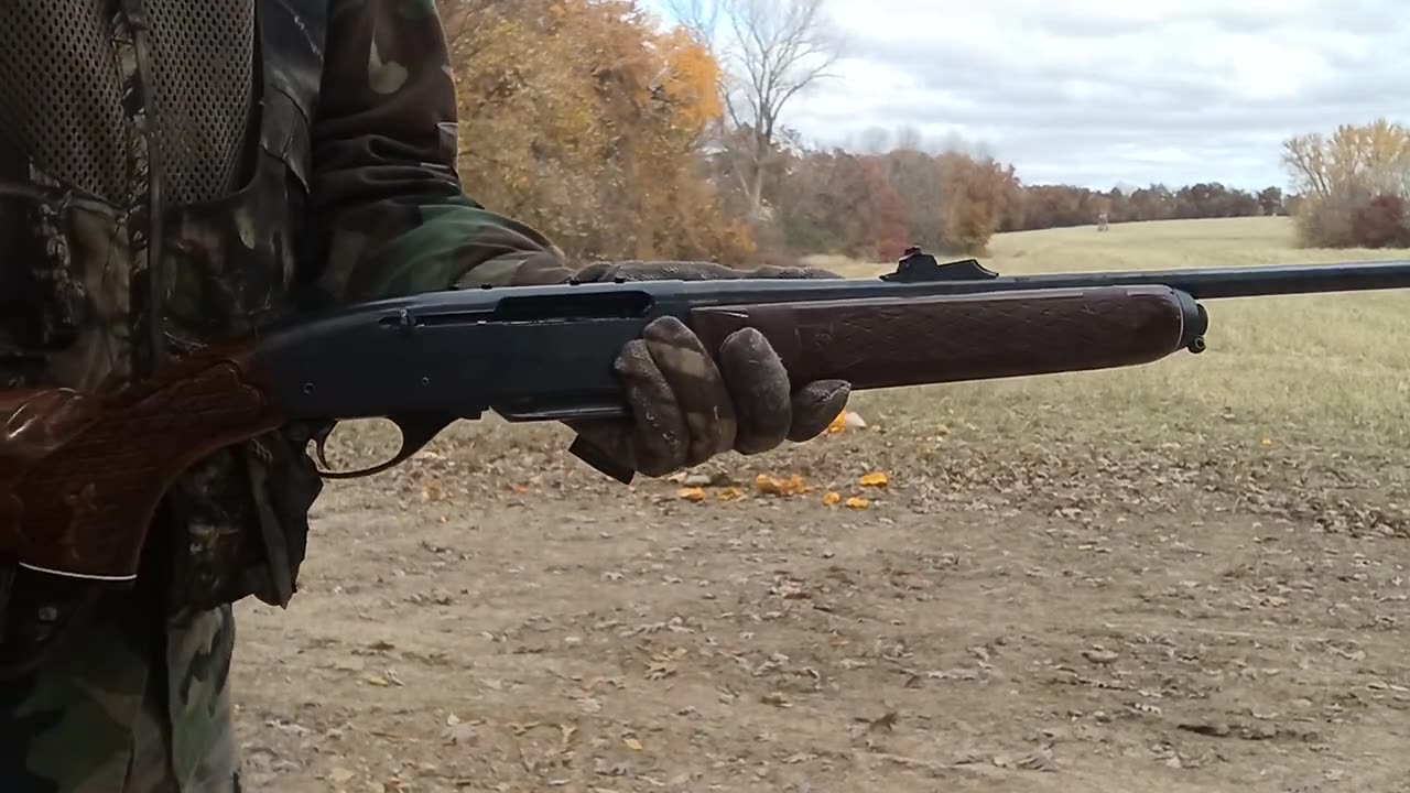 Pumpkin and squash shooting