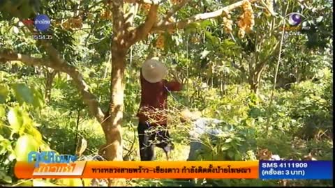 เกษตรสร้างชาติ : ปลูกสวนผลไม้ในสวนยางพารา สร้างรายได้