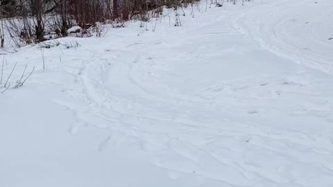 My water spot.
