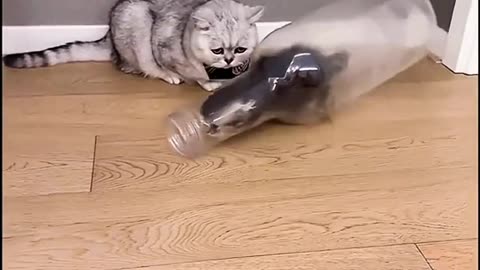 Cute cat mission bottle