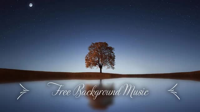 1 Hour upbeat Background Music (Best MBB Music Collection) Free Download, No Copyright