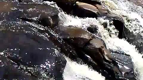 GREAT FALLS