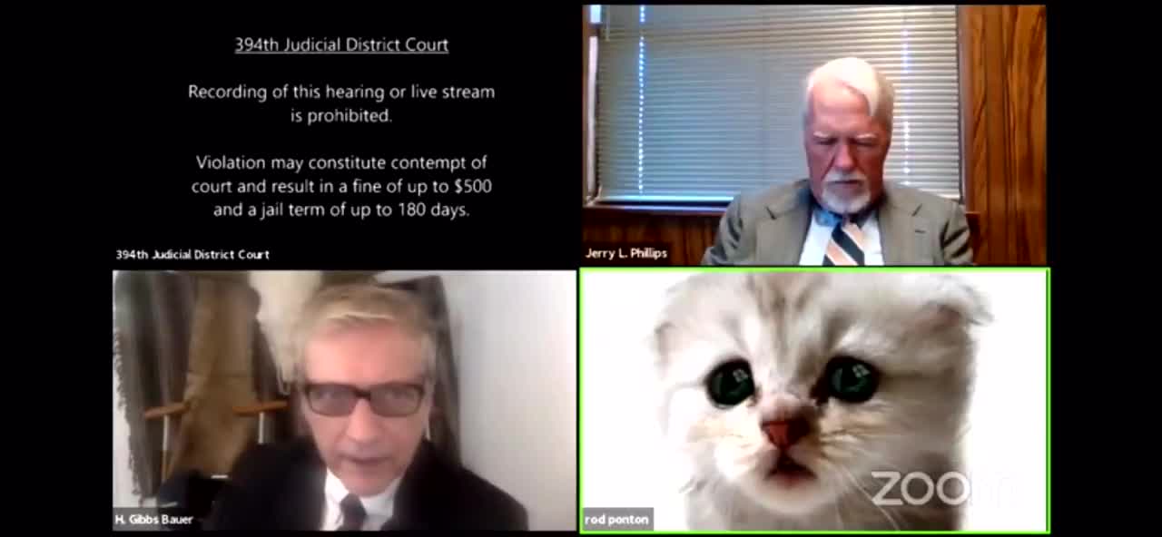 “I’m Not A Cat” – Watch What Happened During A Court Case