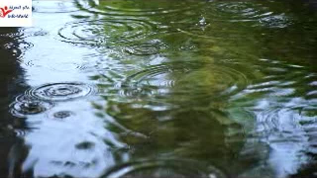 rain falling on the water