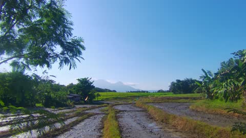 Country side view