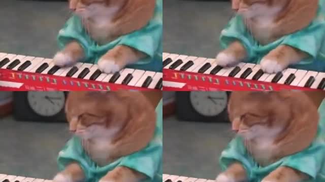 Keyboard Cat REINCARNATED