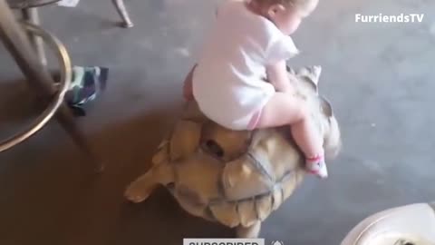 Little Roxy Riding on a Tortoise ||
