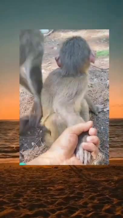 WTF!_!_ - Memes For You #Shorts