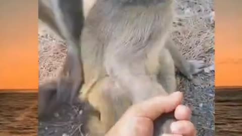 WTF!_!_ - Memes For You #Shorts