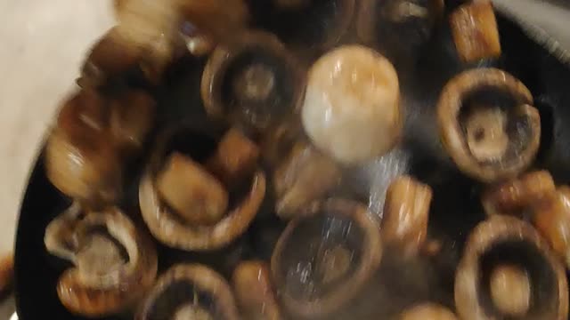 Mushroom throw