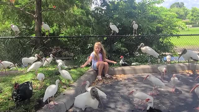 Bird day with Hopesay