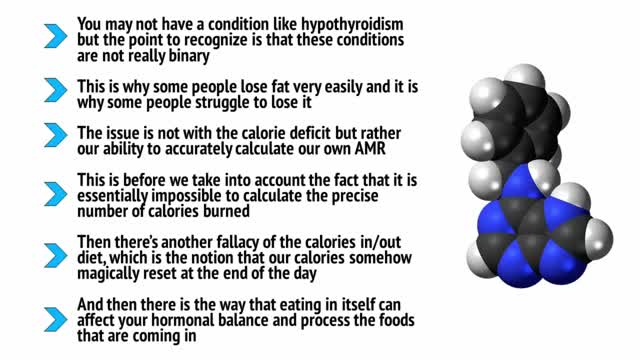 The Lose Your Belly