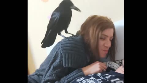 Loving her boyfriend and bird fighting