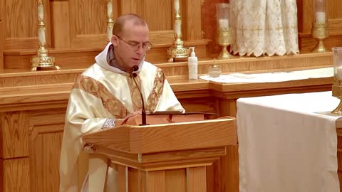 Loosing the Faith, Step by Step - Jul 21 - Homily - Fr Ignatius