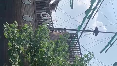 Pirate Ship Playground