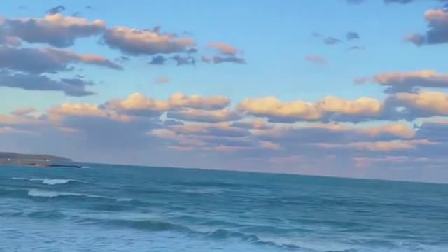 "Are you free this summer? Let's go to see the sea together."
