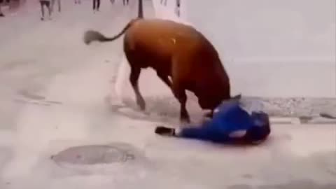 Funny video