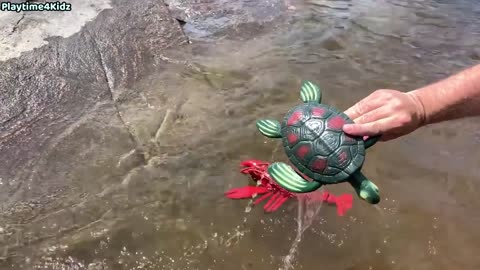 Sea Animal Toys This Summer at the Shore